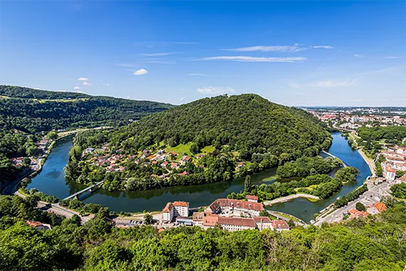 Paysage avec beaucoup de verdure