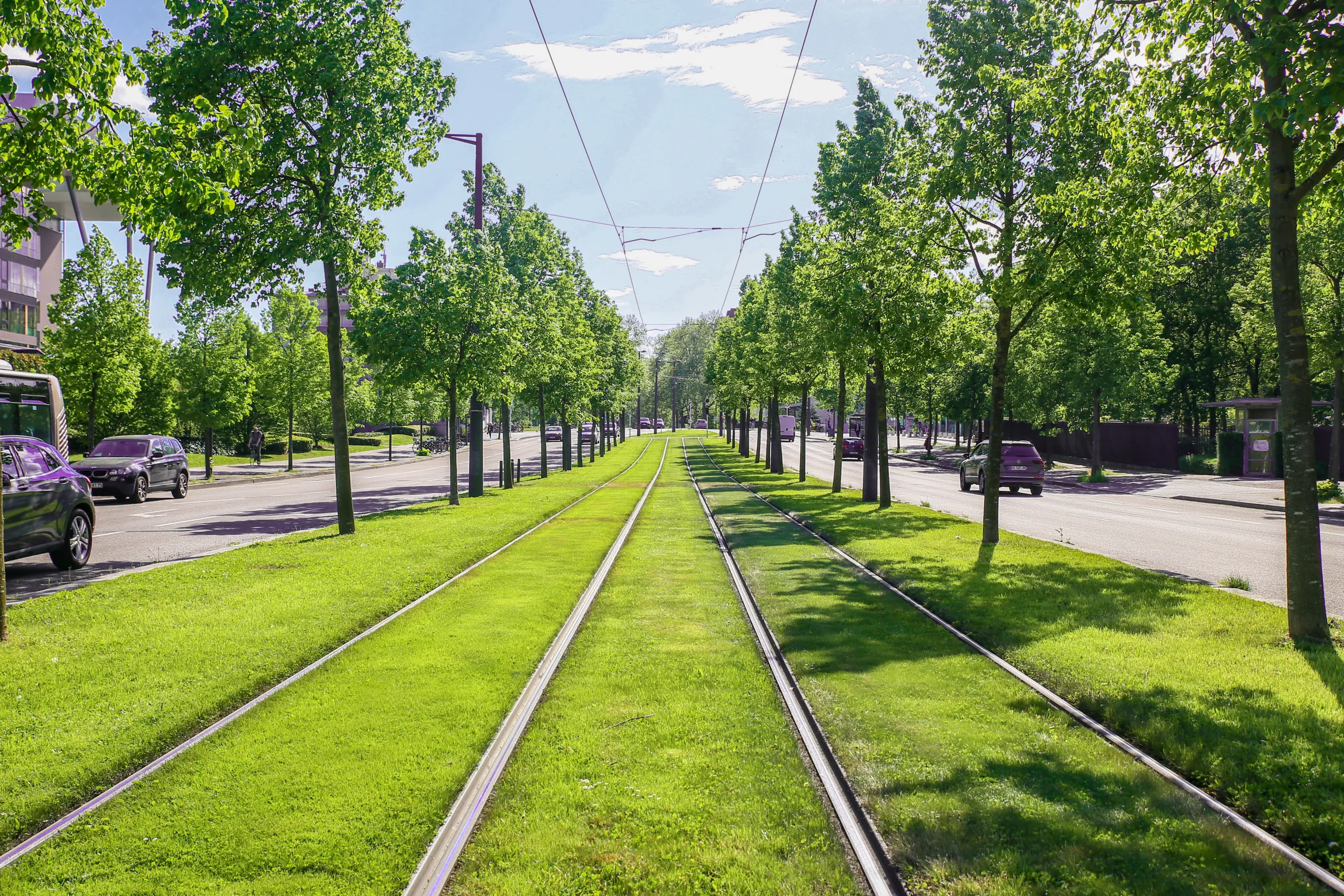 Rails de tramway dans environnement vert à Strasbourg